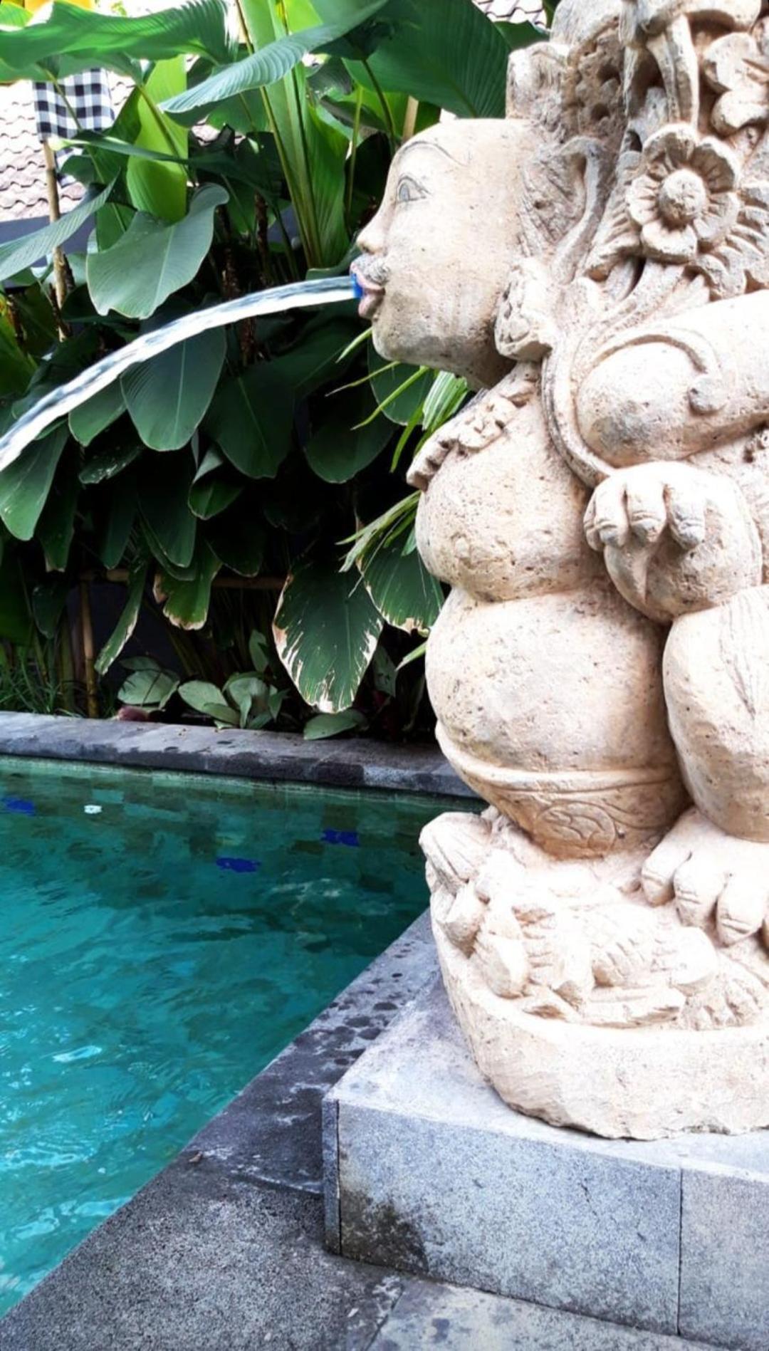 Buda Amitaba أوبود المظهر الخارجي الصورة